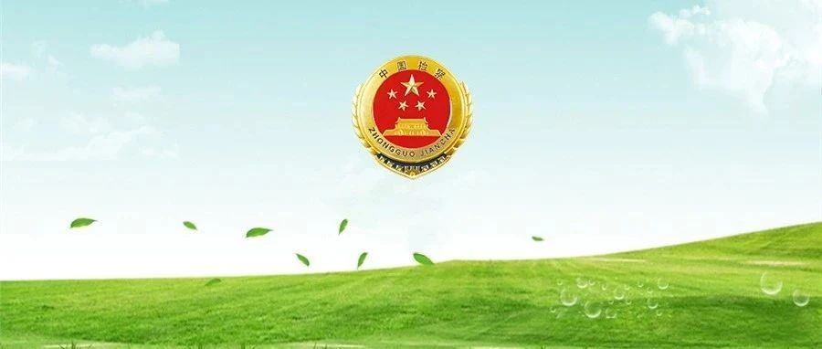 回看2022年公益诉讼英国beat365官方登录_bet878365_Microsoft 365安卓路：从稳步走向宽广